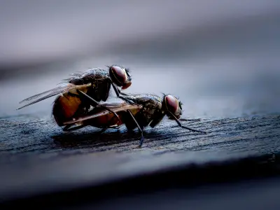 Two to Tango